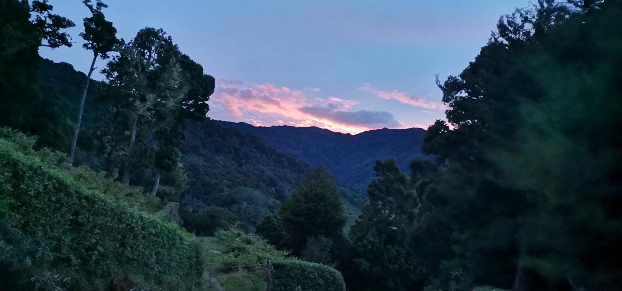 Glamping Jaulares Mountain Hotel Rivas Quarto foto